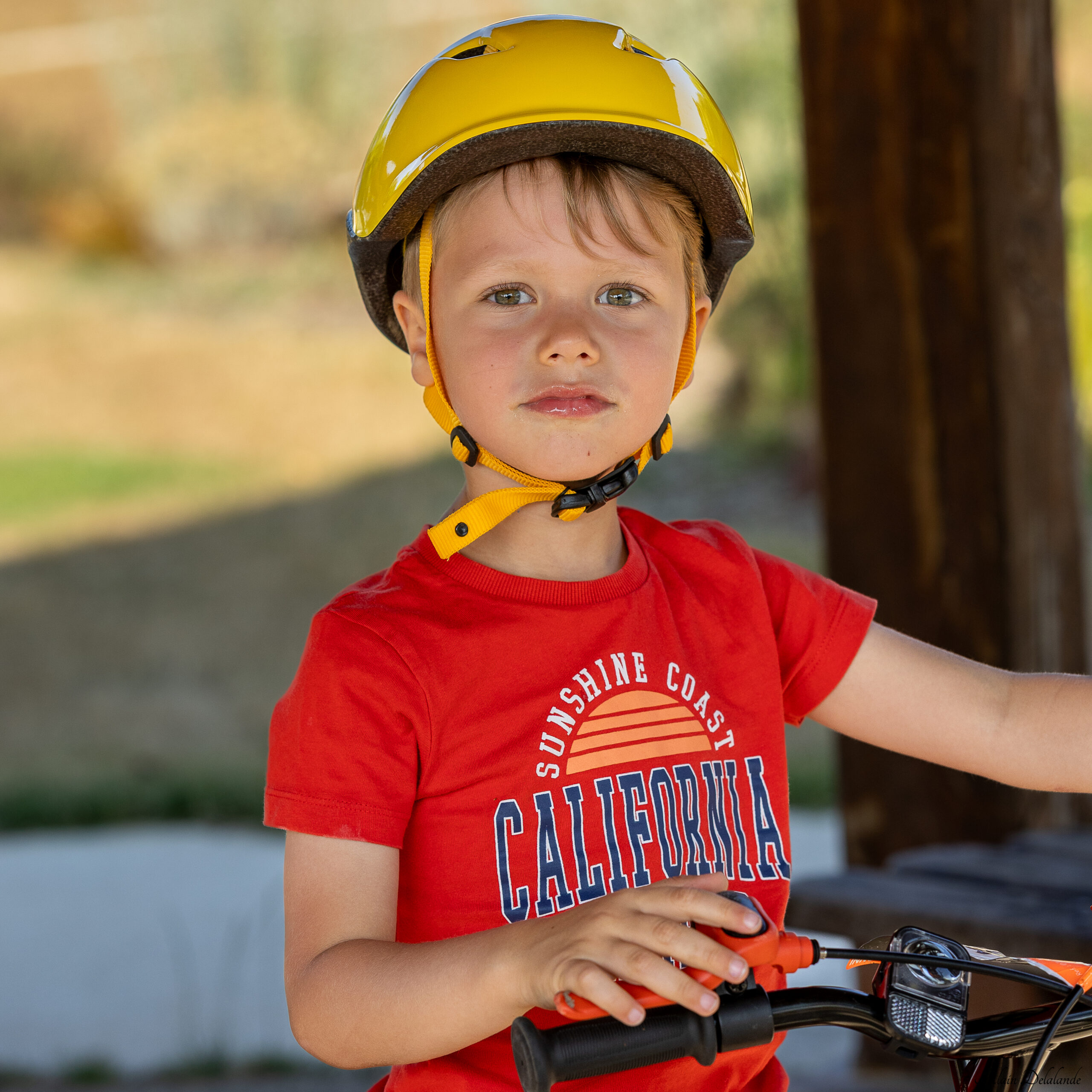 Protégé : 2025-07-14-Marin au parc de Buxeuil
