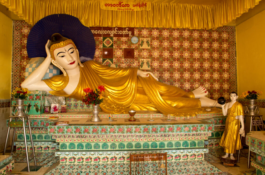 3F9A3846 - Copie (2) - Copie - Copie