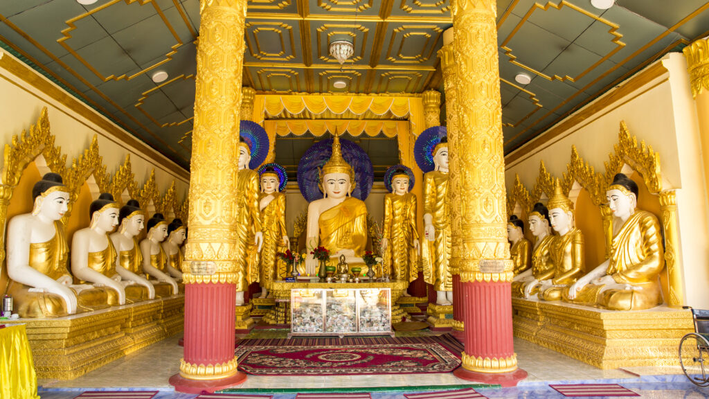 3F9A3849-2 - Copie (2)