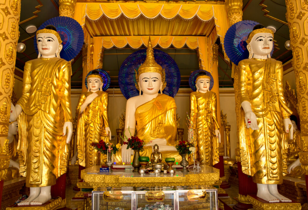 3F9A3850 - Copie (2)