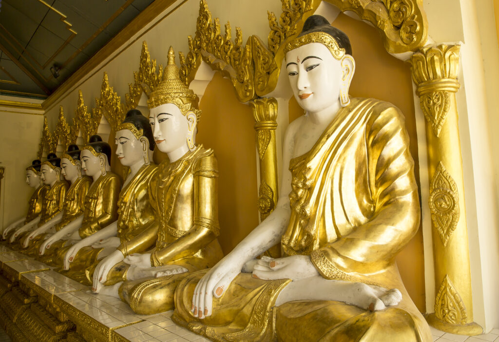 3F9A3851 - Copie (2)